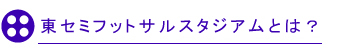 東セミフットサルスタジアムとは